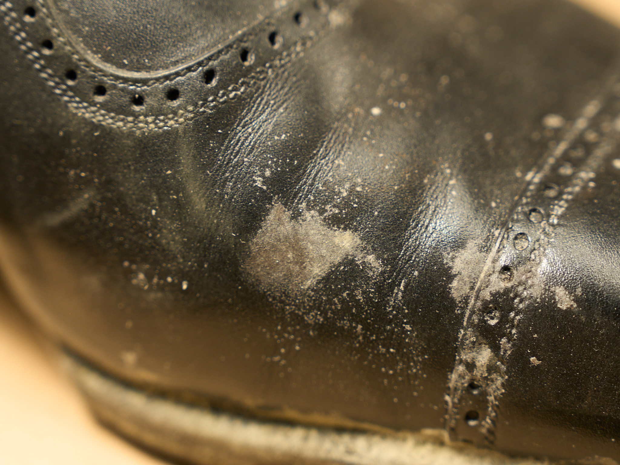 Mold growing on a worn black leather shoe